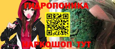 стаф Кузнецк