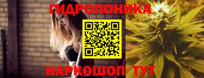 меф Кудрово